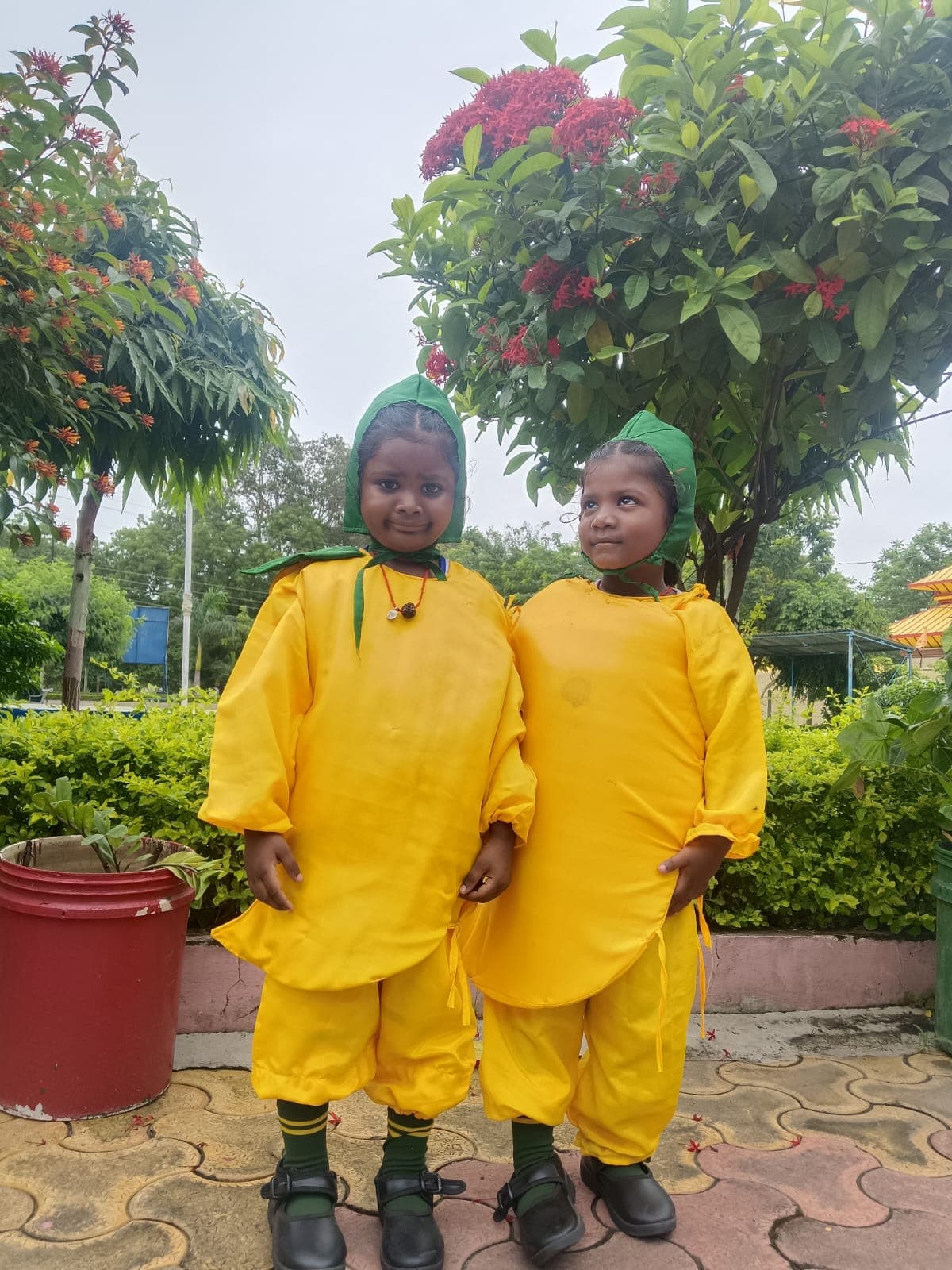 πAam ki mithas, nanhe kadmon ki pathshala!βπ